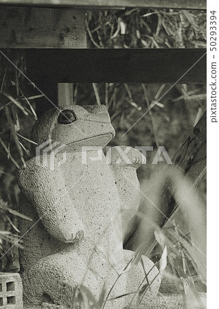 Imitation frog Imitation frog 50293394