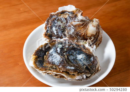 岩牡蠣 50294280