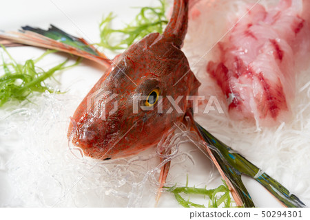 Shape-built Hobo 50294301