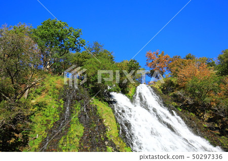 Oshinkoshin瀑布 50297336