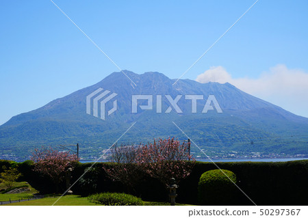 Senguen鹿兒島縣 Senguen鹿兒島縣 50297367
