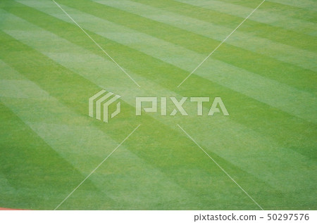 綠草運動 綠草運動 50297576