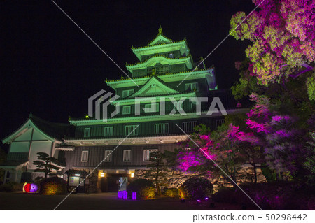 岡山城堡夜視圖 岡山城堡夜視圖 50298442