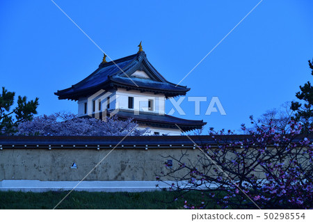 在日本之前在北海道松前町松前城拍攝風景 在日本之前在北海道松前町松前城拍攝風景 50298554