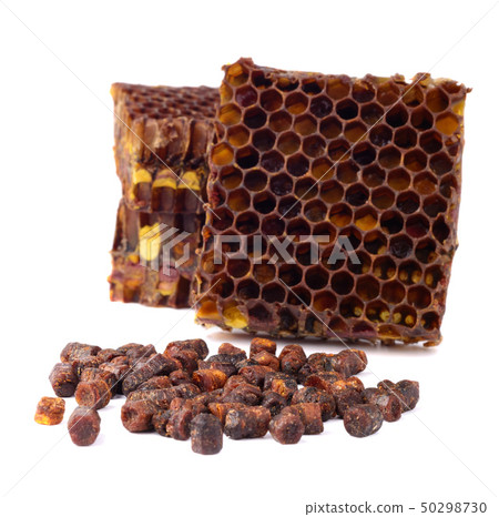 Bee bread granules and a piece of honey cells are Bee bread granules and a piece of honey cells are 50298730
