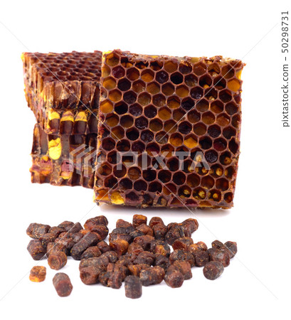 Bee bread granules and a piece of honey cells are Bee bread granules and a piece of honey cells are 50298731