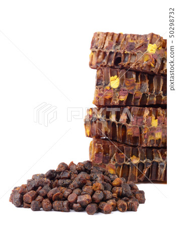 Bee bread granules and a piece of honey cells are Bee bread granules and a piece of honey cells are 50298732