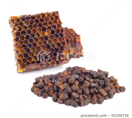 Bee bread granules and a piece of honey cells are Bee bread granules and a piece of honey cells are 50298736