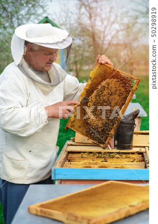 Beekeeper holding a honeycomb full of bees. 50298919