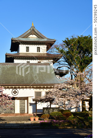 Photographing the morning scenery of cherry blossoms and castles in full bloom in Matsumae-cho, Matsumae Town, Hokkaido Photographing the morning scenery of cherry blossoms and castles in full bloom in Matsumae-cho, Matsumae Town, Hokkaido 50299245