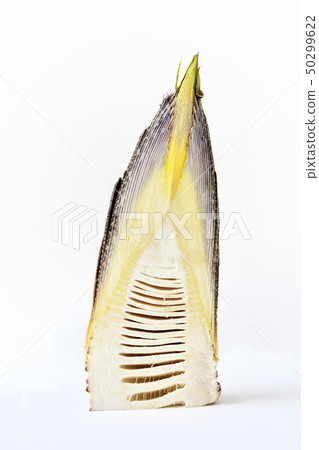 竹筍切成兩半 50299622