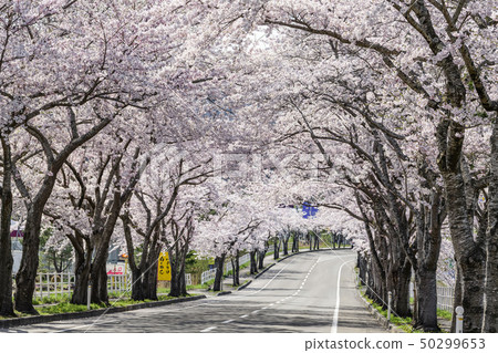 Mutsu city Ohata bypass Mutsu city Ohata bypass 50299653