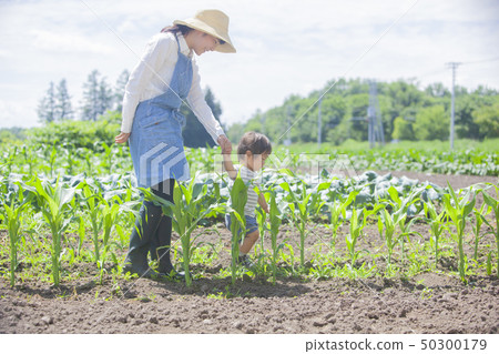 Working Mom 50300179