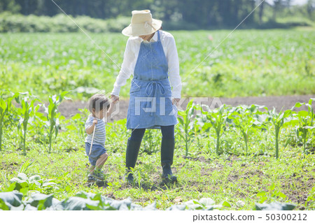 Working Mom 50300212