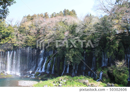 Spring in Shizuoka 50302606