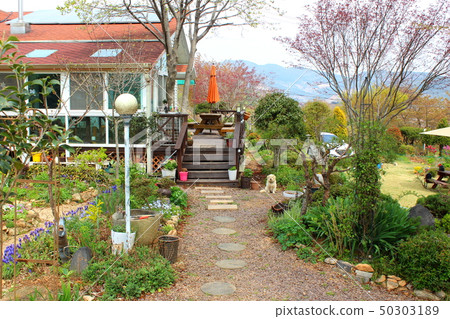 Dream House Dream House 50303189