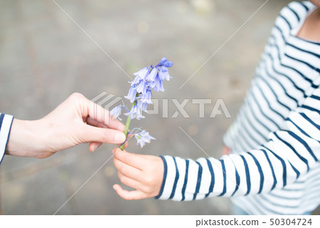 父母和孩子遞花 父母和孩子遞花 50304724