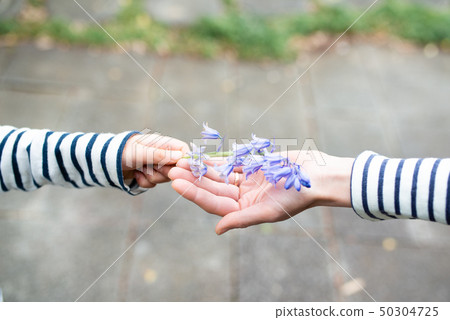 父母和孩子遞花 50304725