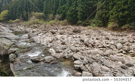 綠色寺廟的河 50304857