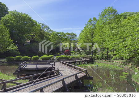 Yakushi池塘公園春天視圖 50305016