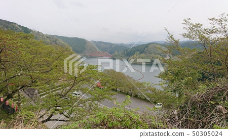 Seirenji的性質 50305024