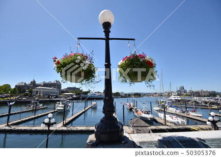 加拿大維多利亞 50305376