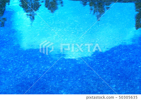 Color Water Surface Lake Surface Plant Reflection (Reserved in April 2019) Maximum Size: M 50305635