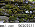 pebble wall with moss, National Park, County pebble wall with moss, National Park, County 50305924