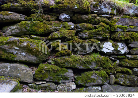 pebble wall with moss, National Park, County pebble wall with moss, National Park, County 50305924