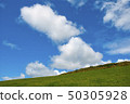 Typical green Irish country side with blue sky Typical green Irish country side with blue sky 50305928