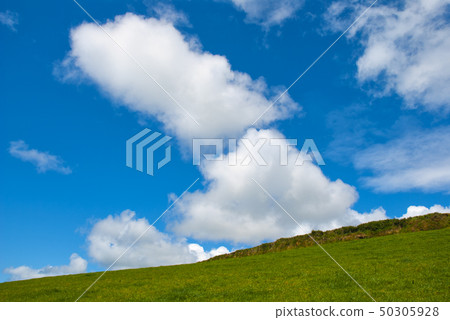 Typical green Irish country side with blue sky 50305928