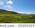 Typical green Irish country side with blue sky and Typical green Irish country side with blue sky and 50305929