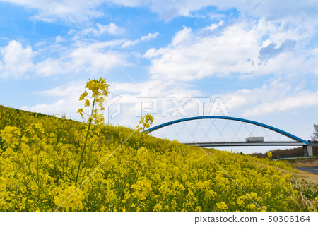 Ibaraki Prefecture Furukawa city Ibaraki Prefecture Furukawa city 50306164