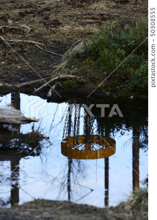 reflection disc golf hole in the water 50308555