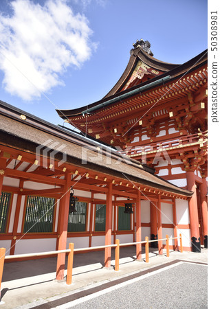 伏見稻荷塔 伏見稻荷塔 50308981