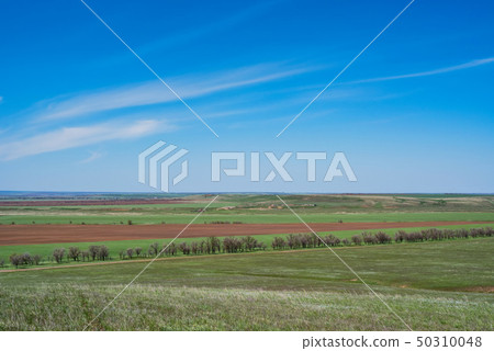 Beautiful picturesque spring landscape with green steppe Beautiful picturesque spring landscape with green steppe 50310048