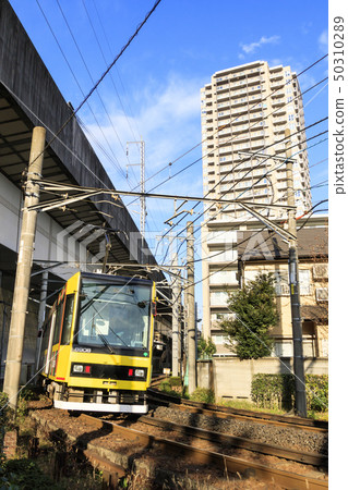 Toden (summer) 50310289