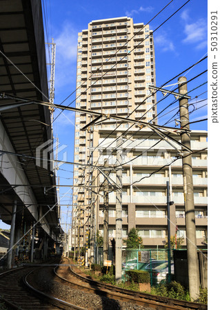 Toden (summer) 50310291