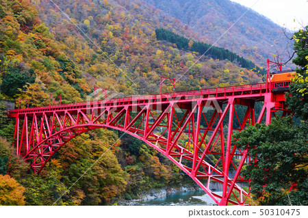 黑部峽谷在秋天 50310475