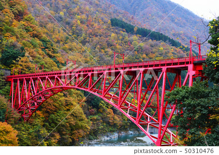 黑部峽谷在秋天 黑部峽谷在秋天 50310476