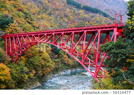 黑部峽谷在秋天 黑部峽谷在秋天 50310477