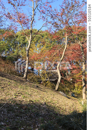 Rikugien（冬季） 50310584