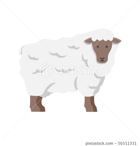 Lamb, sheep icon. Vector illustration 50311331