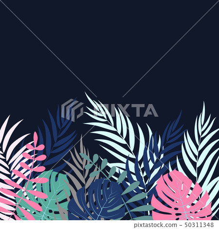 Beautifil Palm Tree Leaf Silhouette Background Vector Illustration Beautifil Palm Tree Leaf Silhouette Background Vector Illustration 50311348