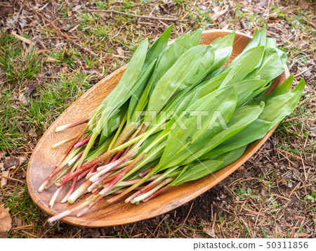 Freshly pickled garlic Freshly pickled garlic 50311856