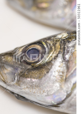 [Grilled mackerel] 50311961