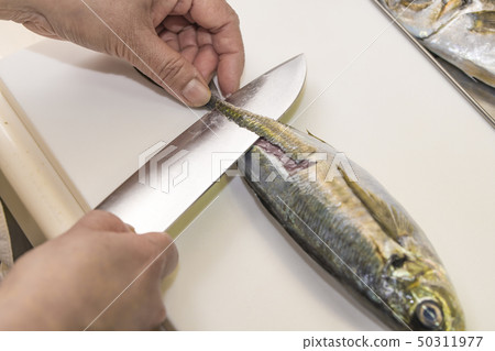 [烤鯖魚] 50311977
