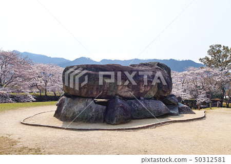 [奈良縣歷史古蹟]石butai Kofun和盛開的櫻花 50312581