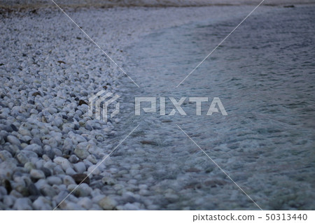 美麗的大海 50313440