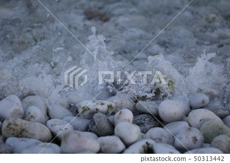 美麗的大海 美麗的大海 50313442